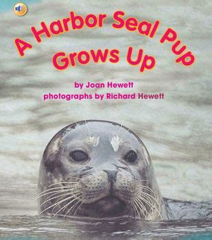 Treasures: A Harbor Seal Pup Grows Up Assessment 